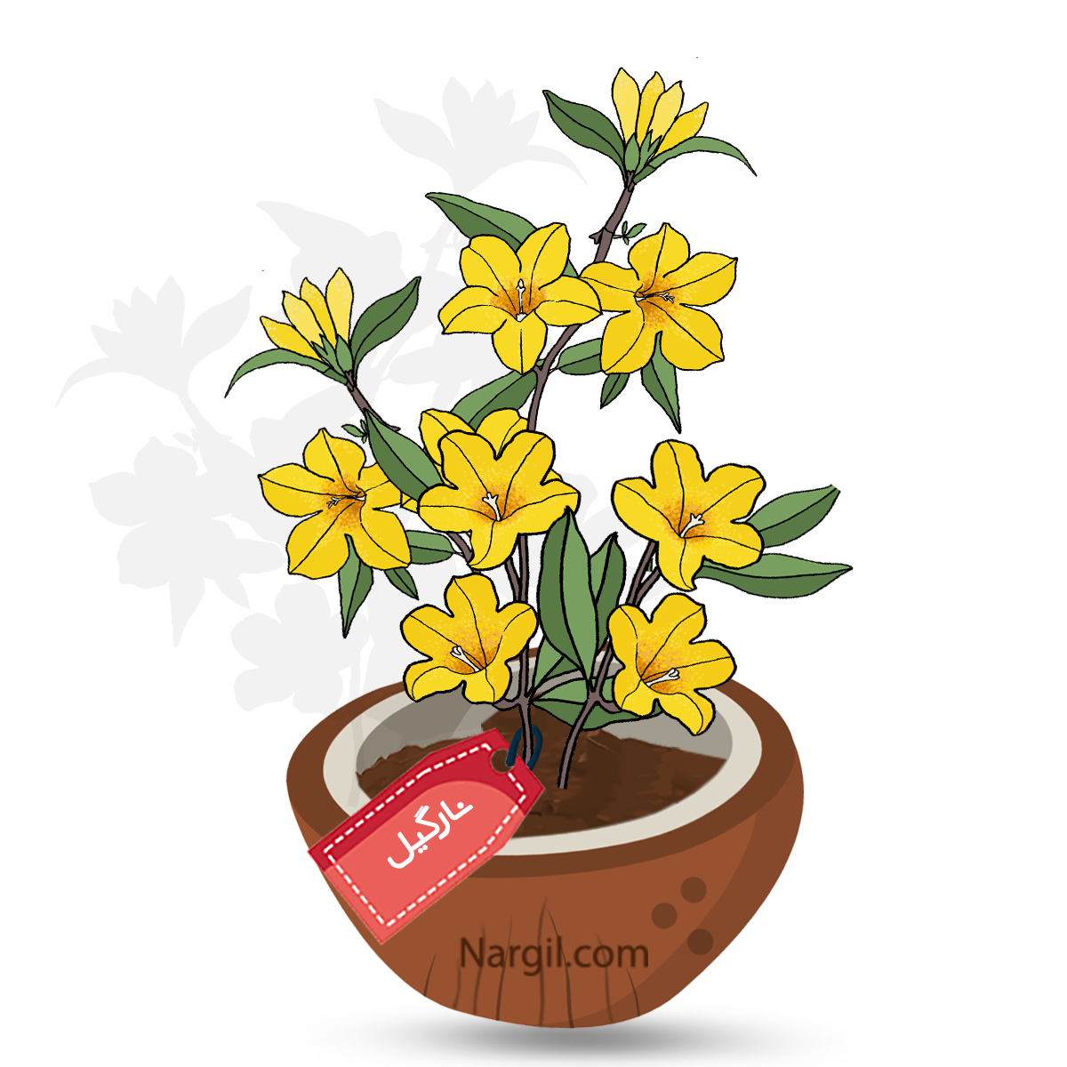  Nargil - Carolina Jessamine